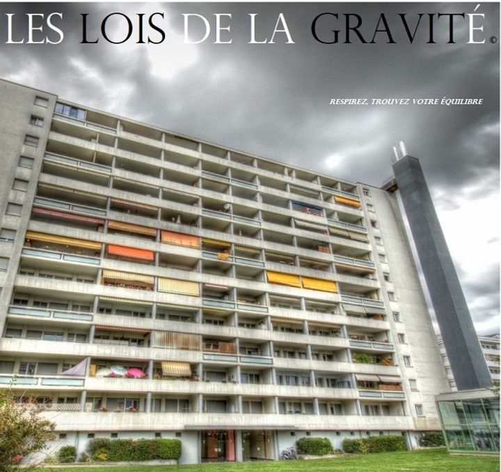 Les Lois De La Gravité Poster