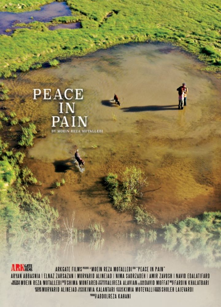 Peace In Pain Poster