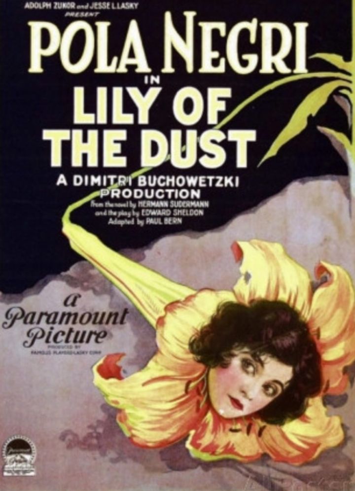 Lily Of The Dust (1924) Poster