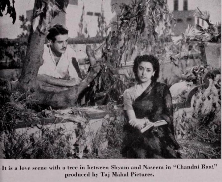 Chandni Raat (1949) Poster