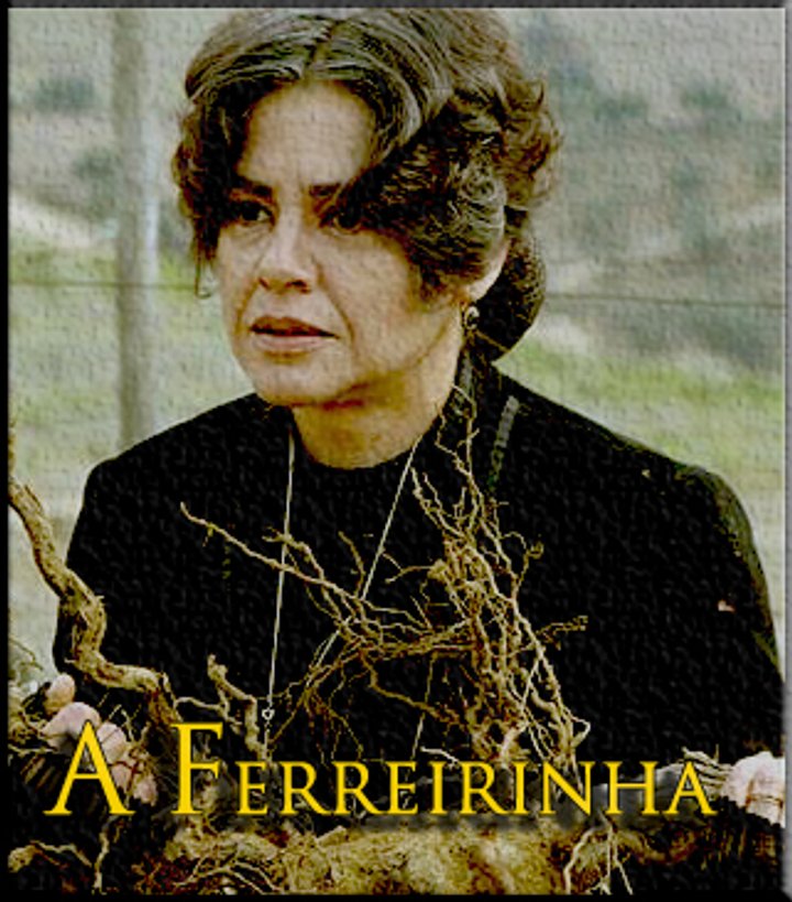 A Ferreirinha (2004) Poster