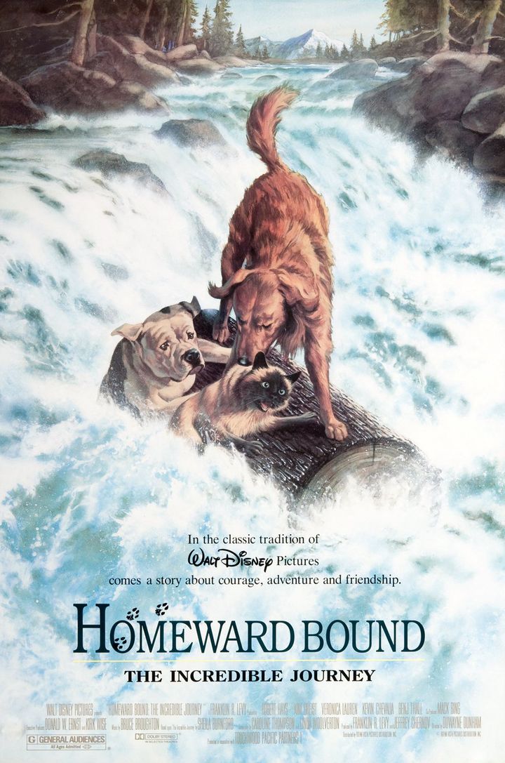 Homeward Bound: The Incredible Journey (1993) Poster