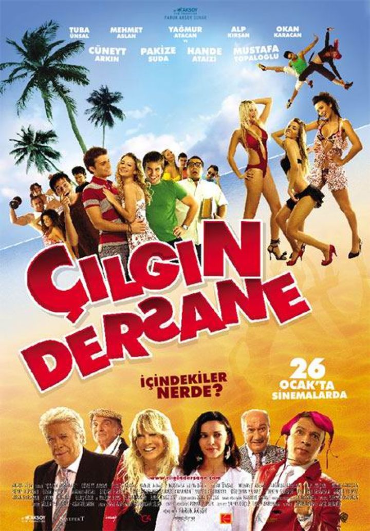 Çilgin Dersane Kampta (2008) Poster