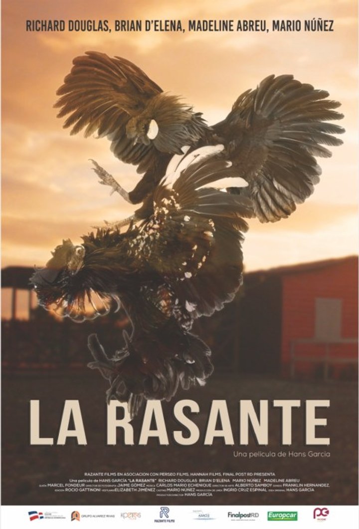 La Rasante (2021) Poster