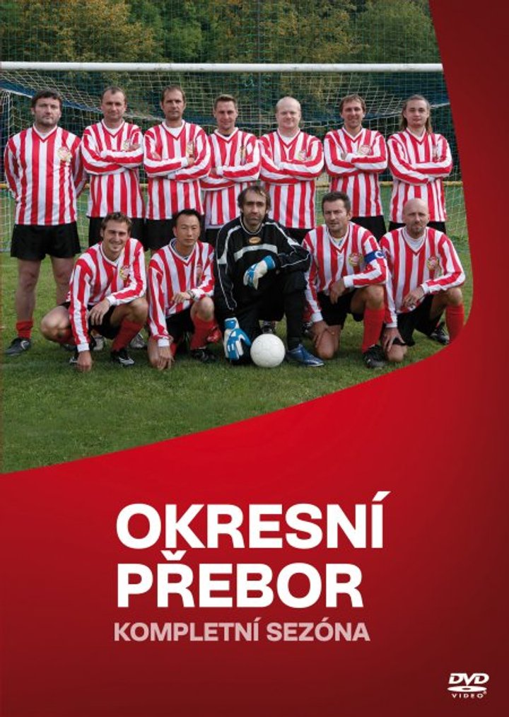 Okresni Prebor (2010) Poster