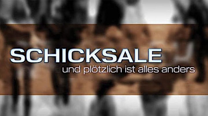 Schicksale - Und Plötzlich Ist Alles Anders (2010) Poster