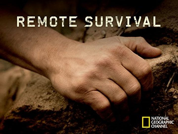 Remote Survival (2015) Poster