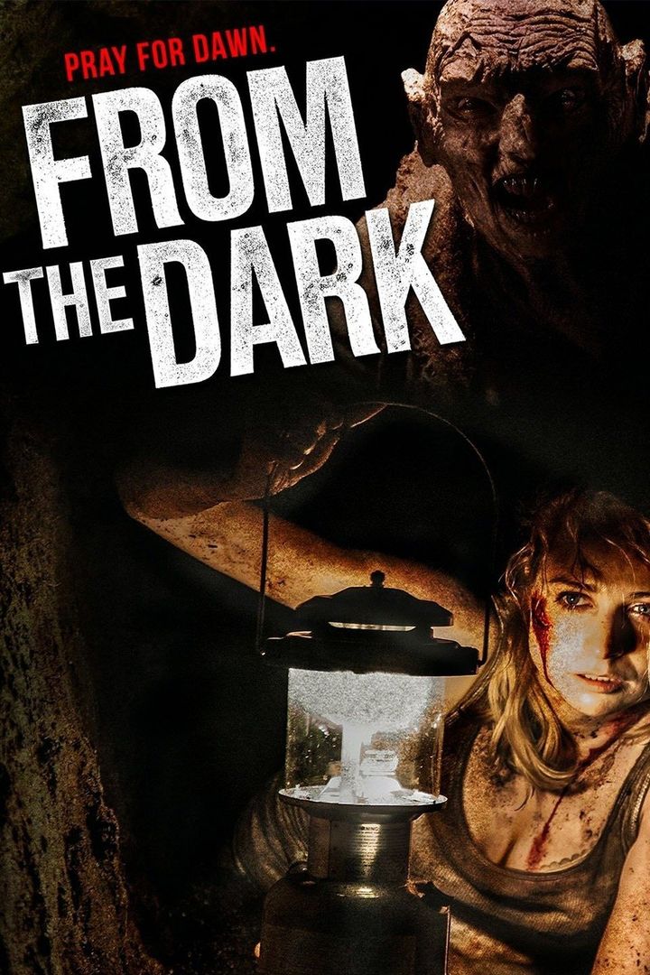 From The Dark (2014) Poster