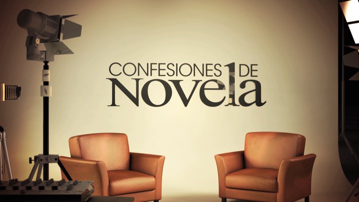 Confesiones De Novela (2011) Poster