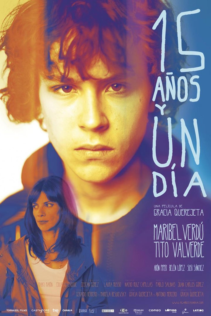 15 Años Y Un Día (2013) Poster