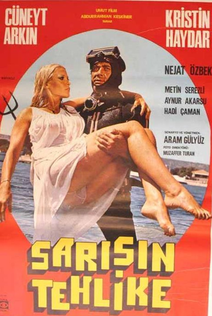 Sarisin Tehlike (1980) Poster