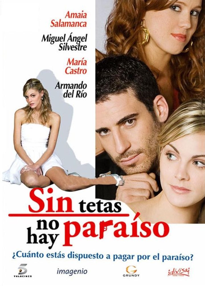 Sin Tetas No Hay Paraíso (2008) Poster