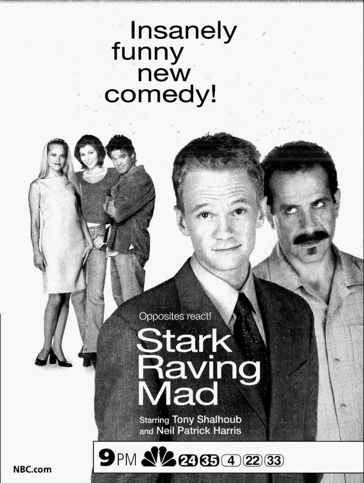 Stark Raving Mad (1999) Poster