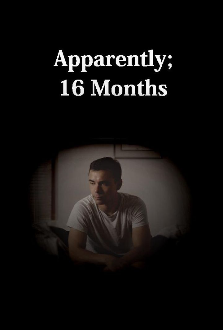 Apparently; 16 Months Poster