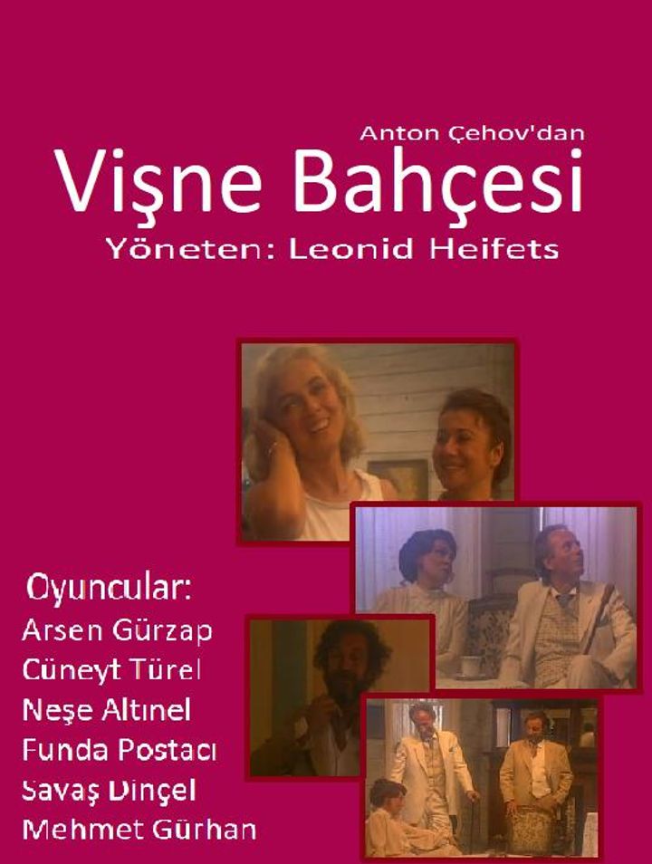 Visne Bahcesi (1991) Poster