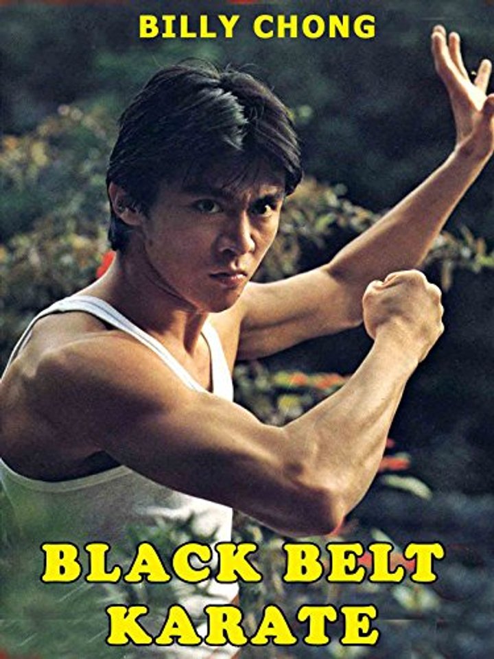 Karate Sabuk Hitam (1979) Poster