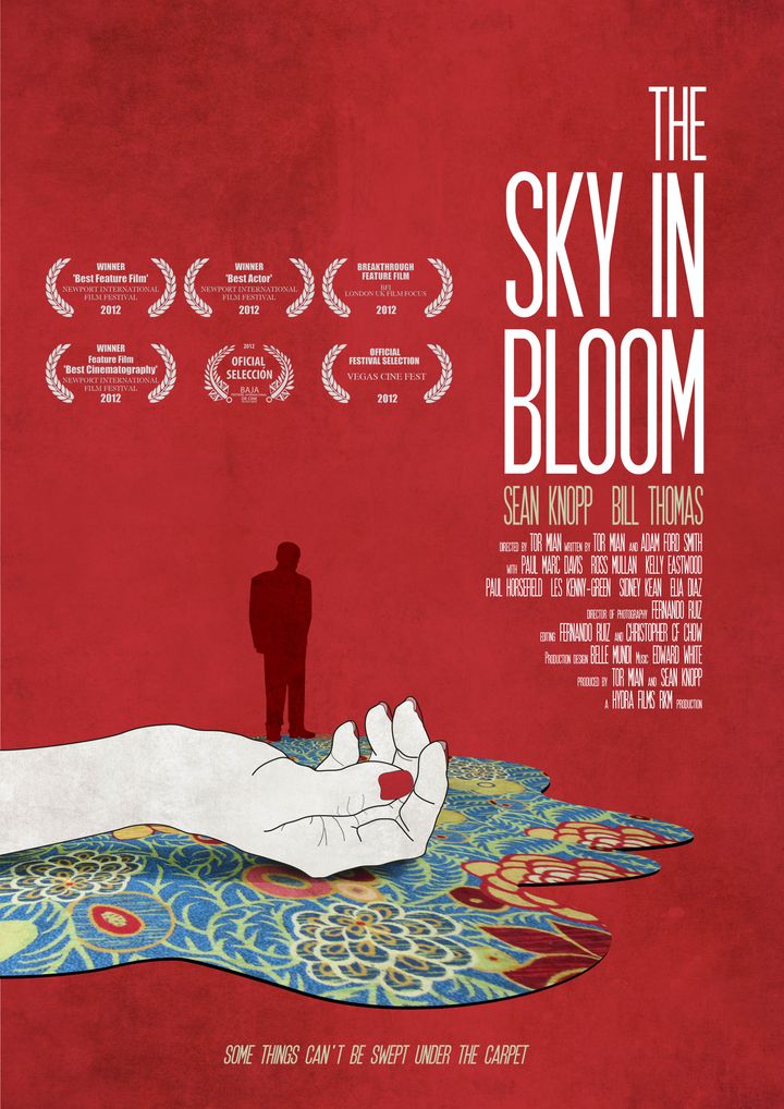 The Sky In Bloom (2013) Poster