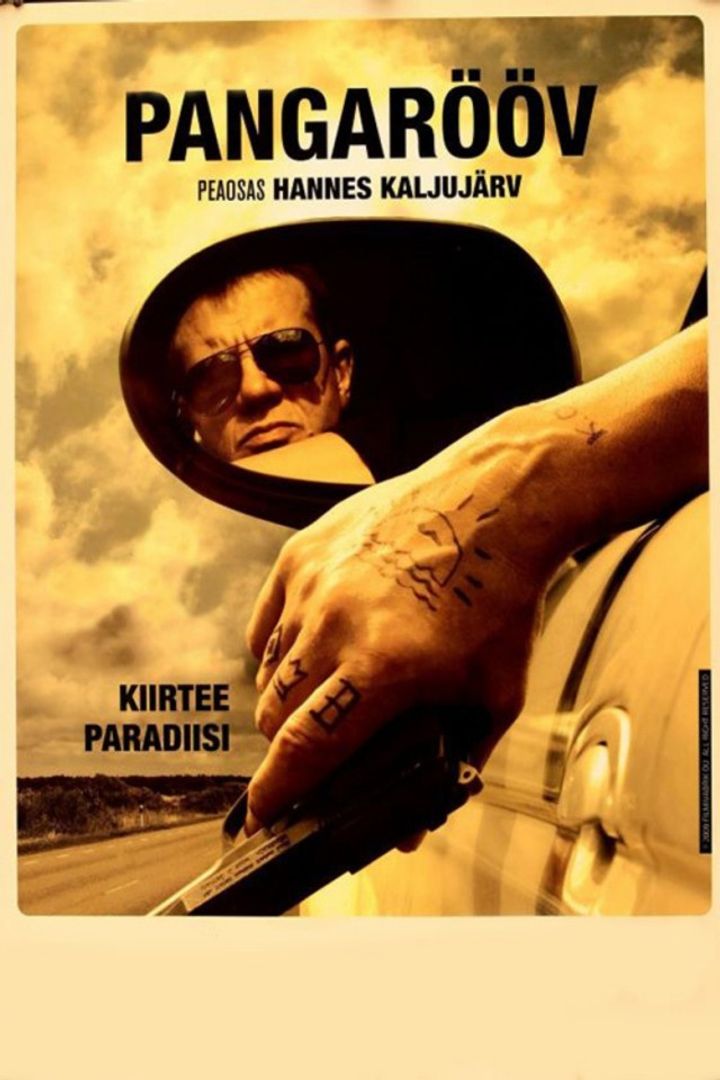 Pangarööv (2009) Poster