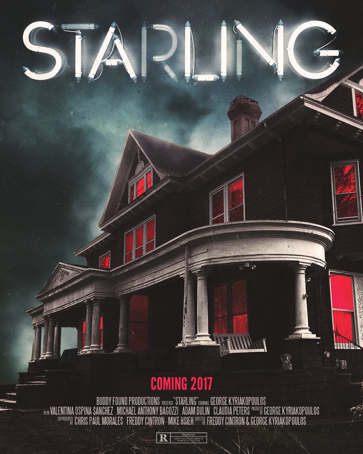 Starling (2017) Poster