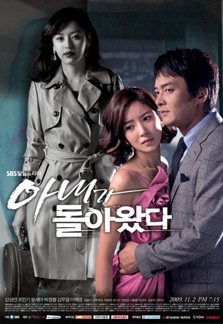 Wife Returns (2009) Poster