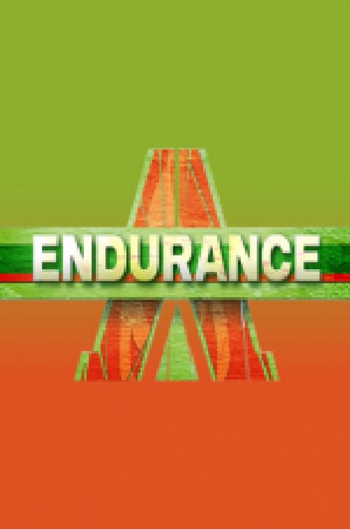 Endurance (2002) Poster