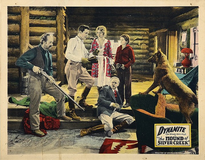 The Hound Of Silver Creek (1928) Poster