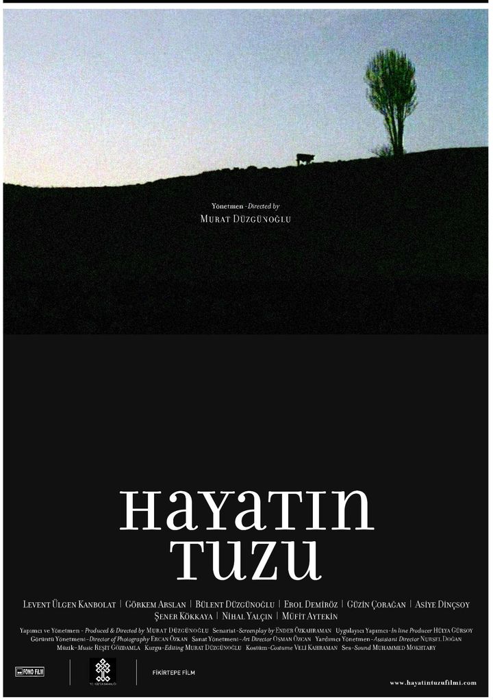 Hayatin Tuzu (2008) Poster