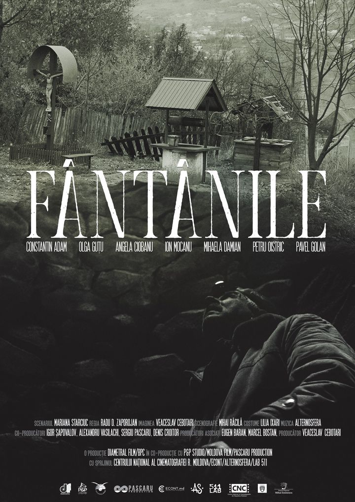 Fântânile (2019) Poster