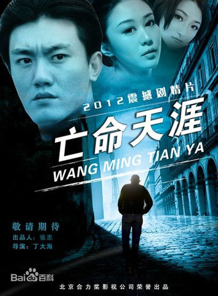 Silent Valley: Wang Ming Tian Ya (2013) Poster