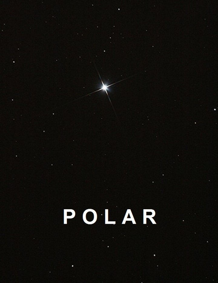 Polar (2022) Poster