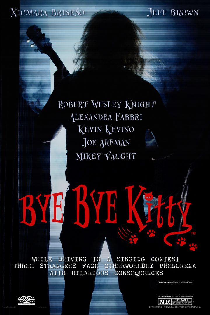 Bye Bye Kitty (2024) Poster