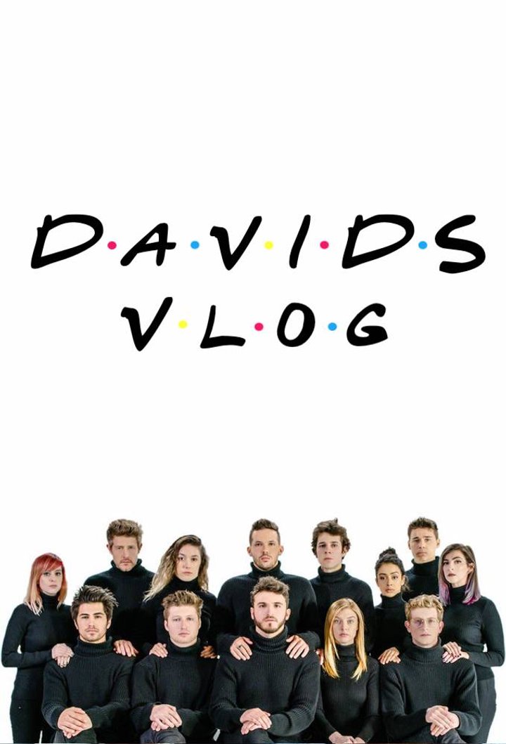 David's Vlog (2015) Poster