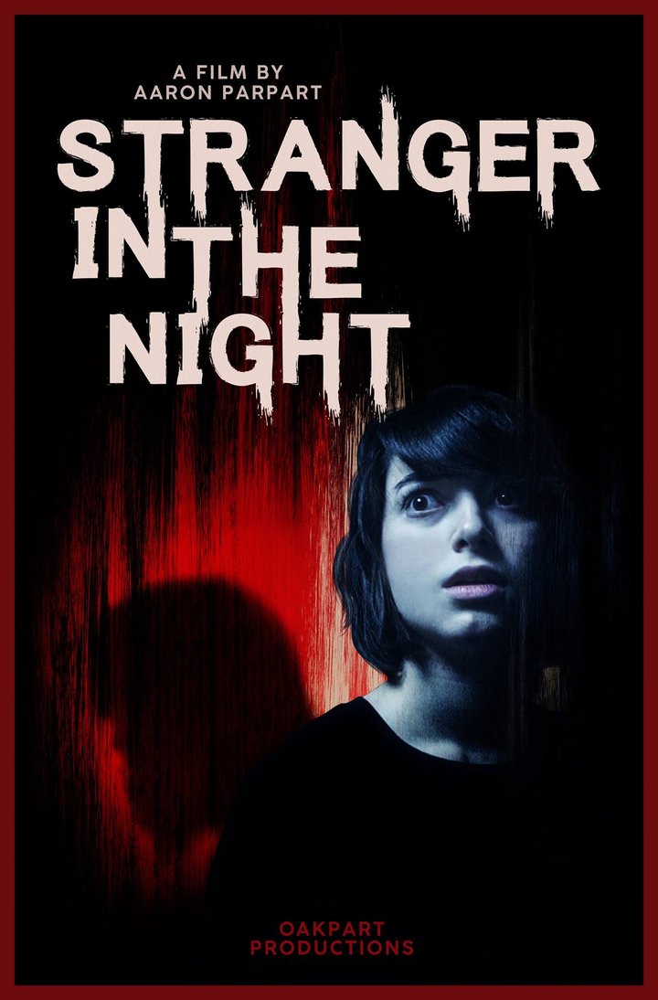 Stranger In The Night (2019) Poster