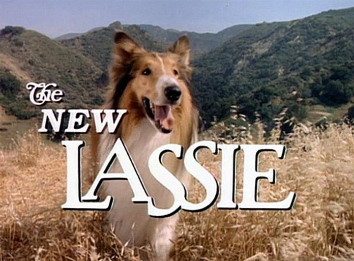 The New Lassie (1989) Poster