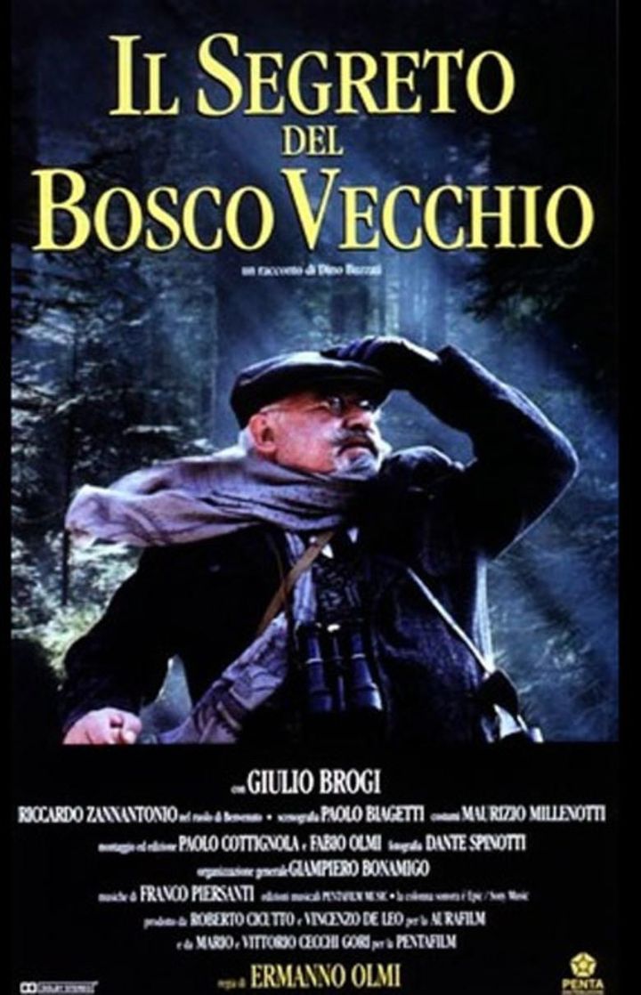 Il Segreto Del Bosco Vecchio (1993) Poster