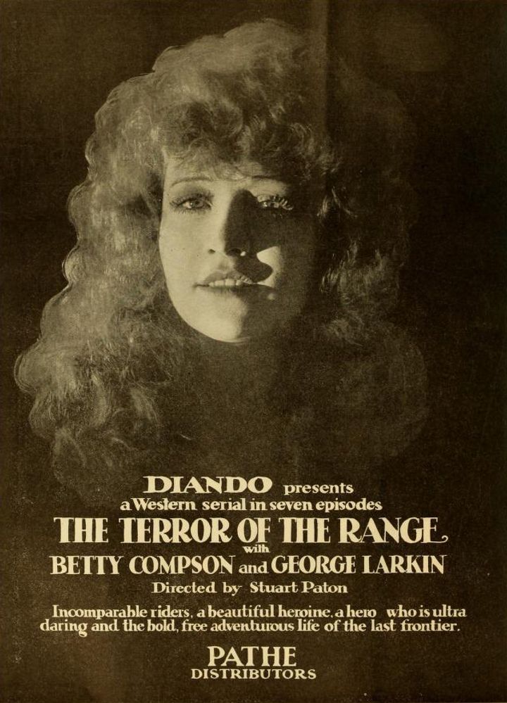 The Terror Of The Range (1919) Poster