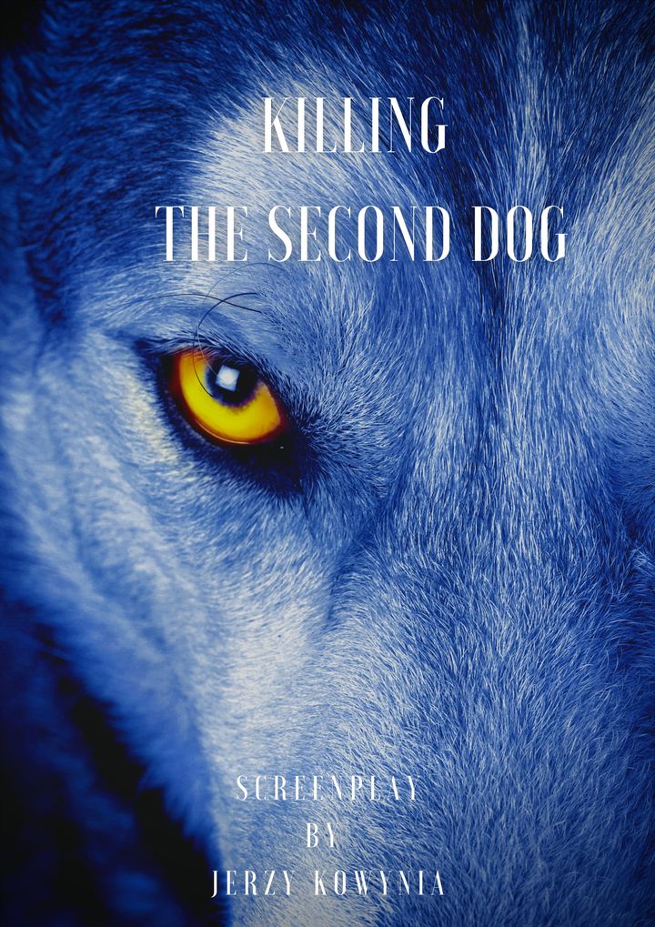 Killing The Second Dog Poster