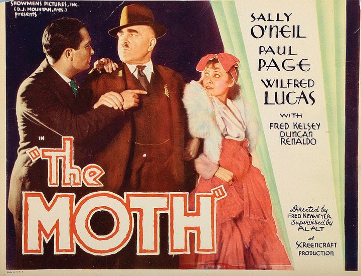 The Moth (1934) Poster