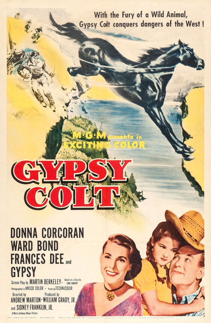 Gypsy Colt (1954) Poster