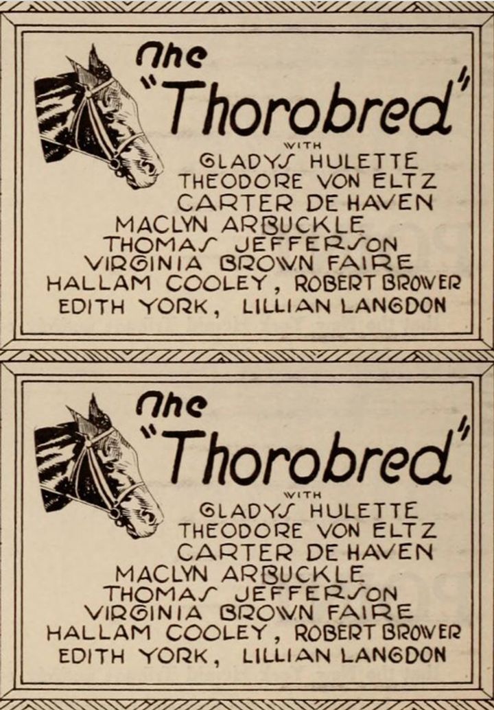 The Thoroughbred (1925) Poster