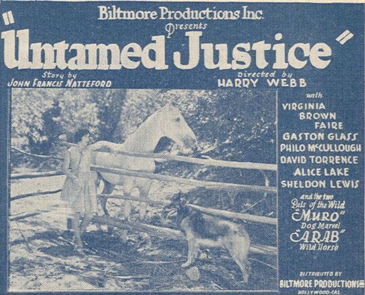 Untamed Justice (1929) Poster