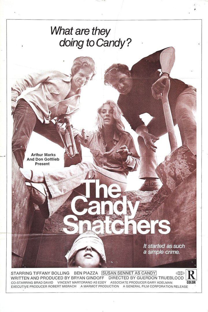 The Candy Snatchers (1973) Poster