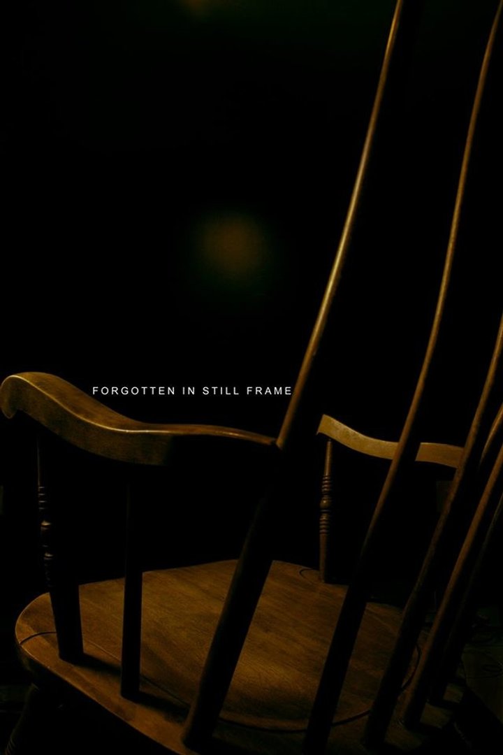 Forgotten In Still Frame (2016) Poster