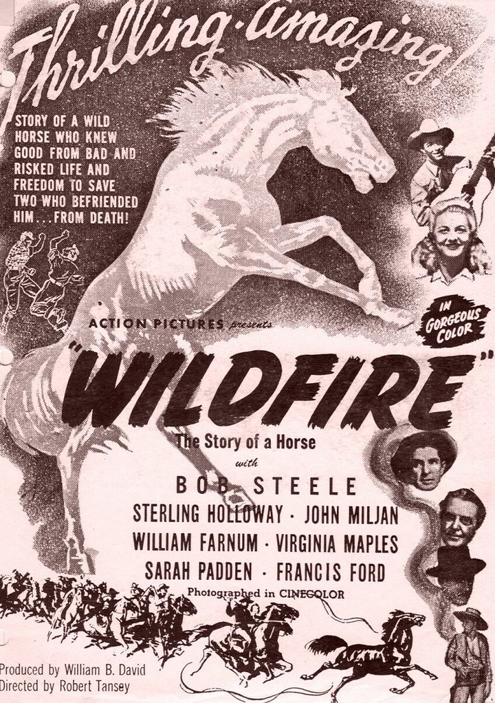 Wildfire (1945) Poster