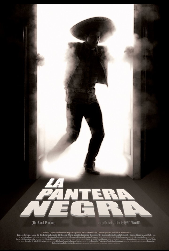 La Pantera Negra (2010) Poster