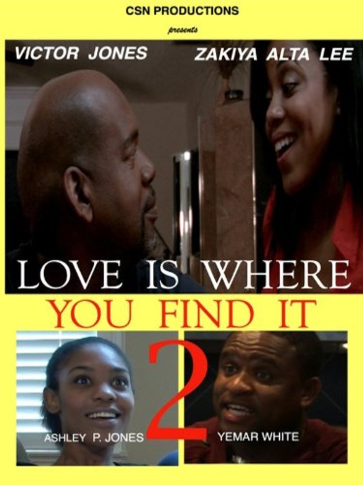 Love Is Where You Find It 2 (2012) Poster