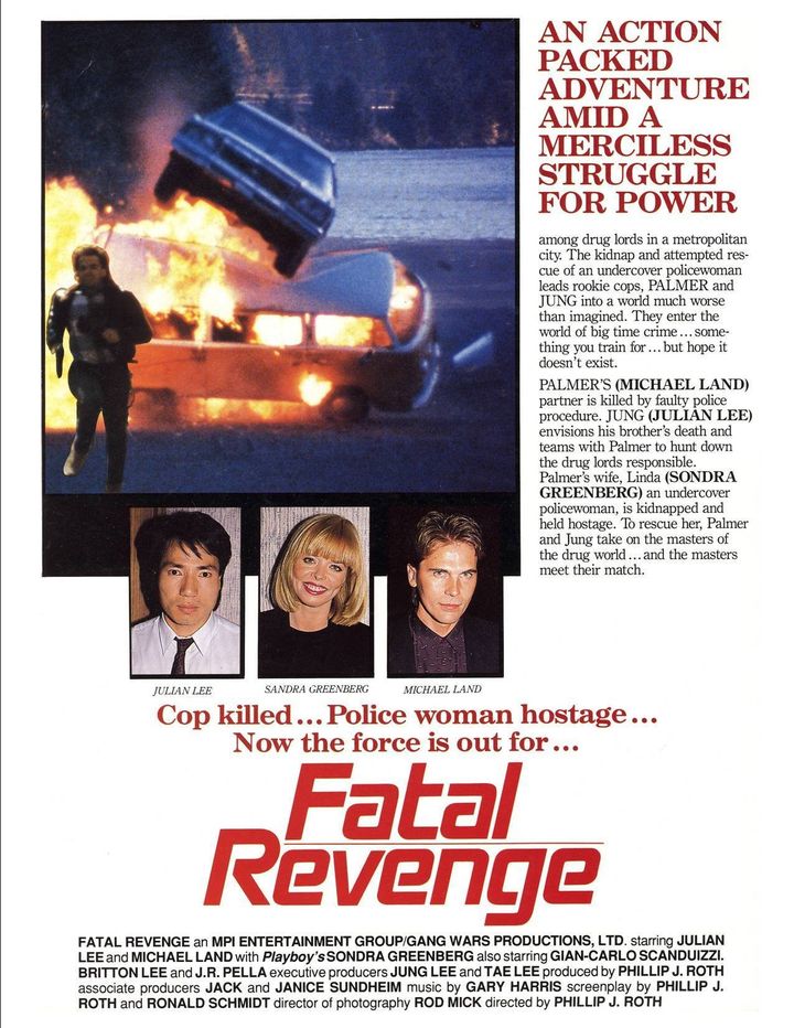 Fatal Revenge (1989) Poster