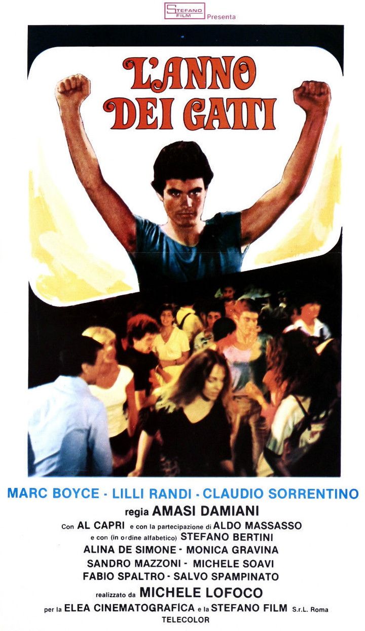 L'anno Dei Gatti (1979) Poster