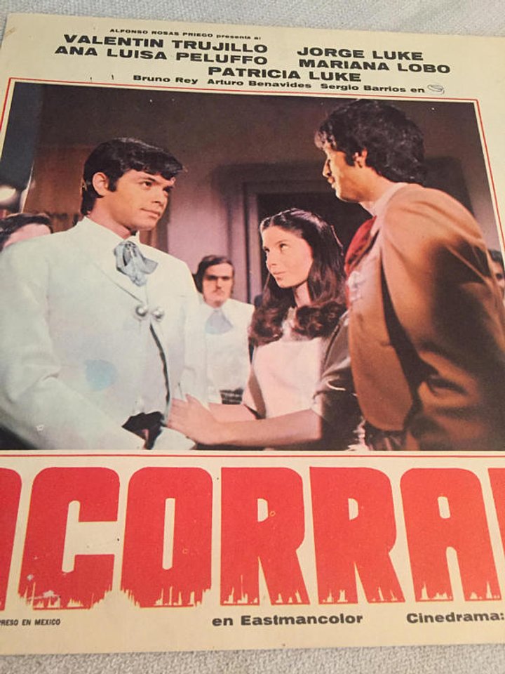 Acorralados (1976) Poster