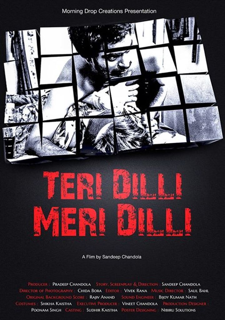 Teri Dilli Meri Dili (2014) Poster